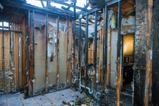 Professional Fire Damage Removal technician working in Cairo, NE